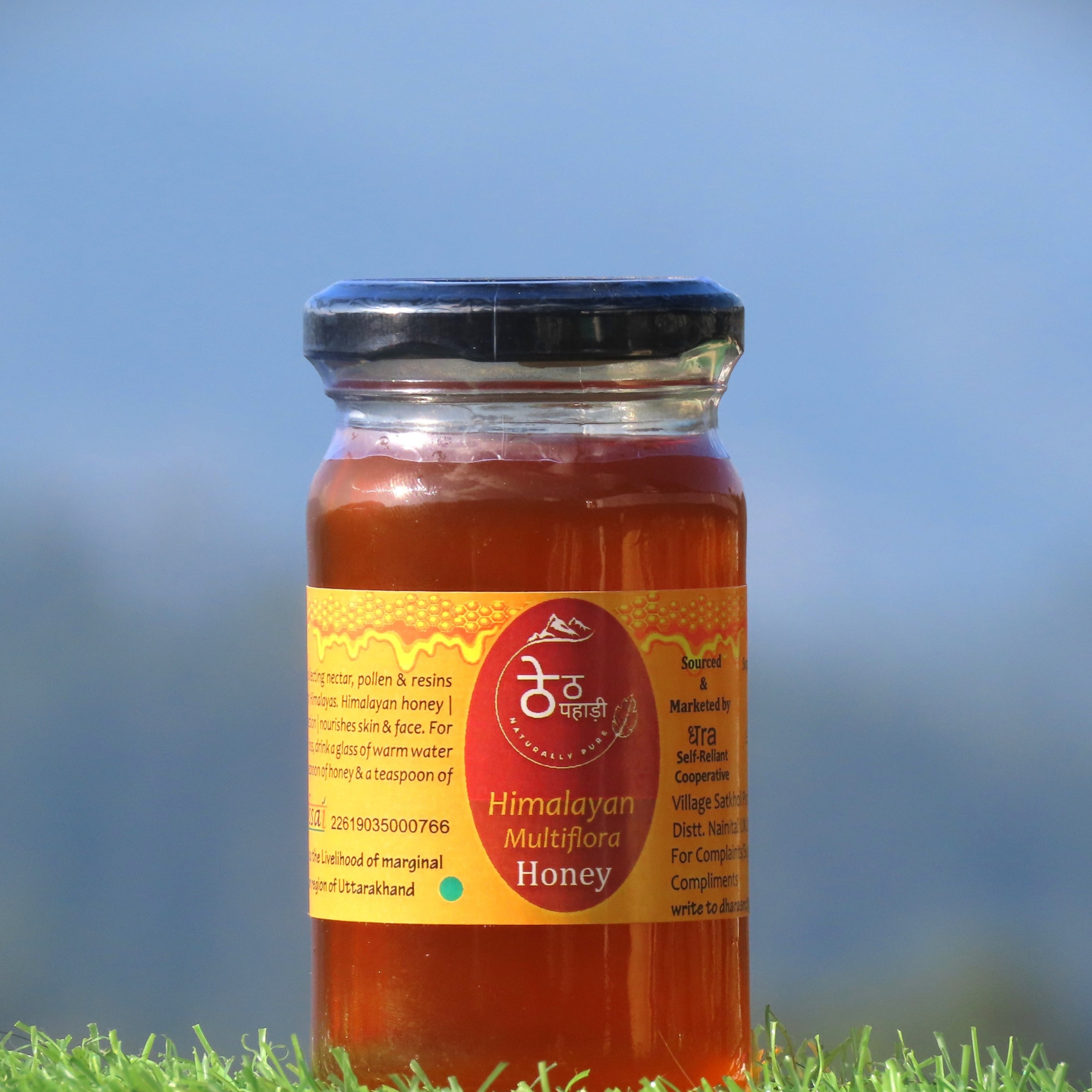 Wild Forest Honey
